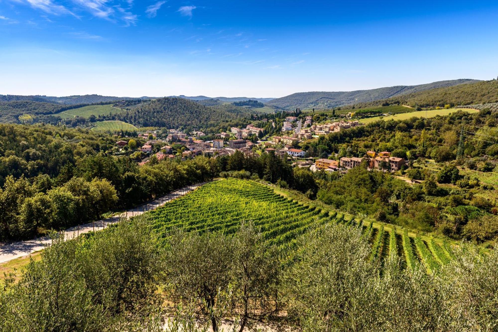 Capannelle Wine Resort Gaiole in Chianti Ngoại thất bức ảnh