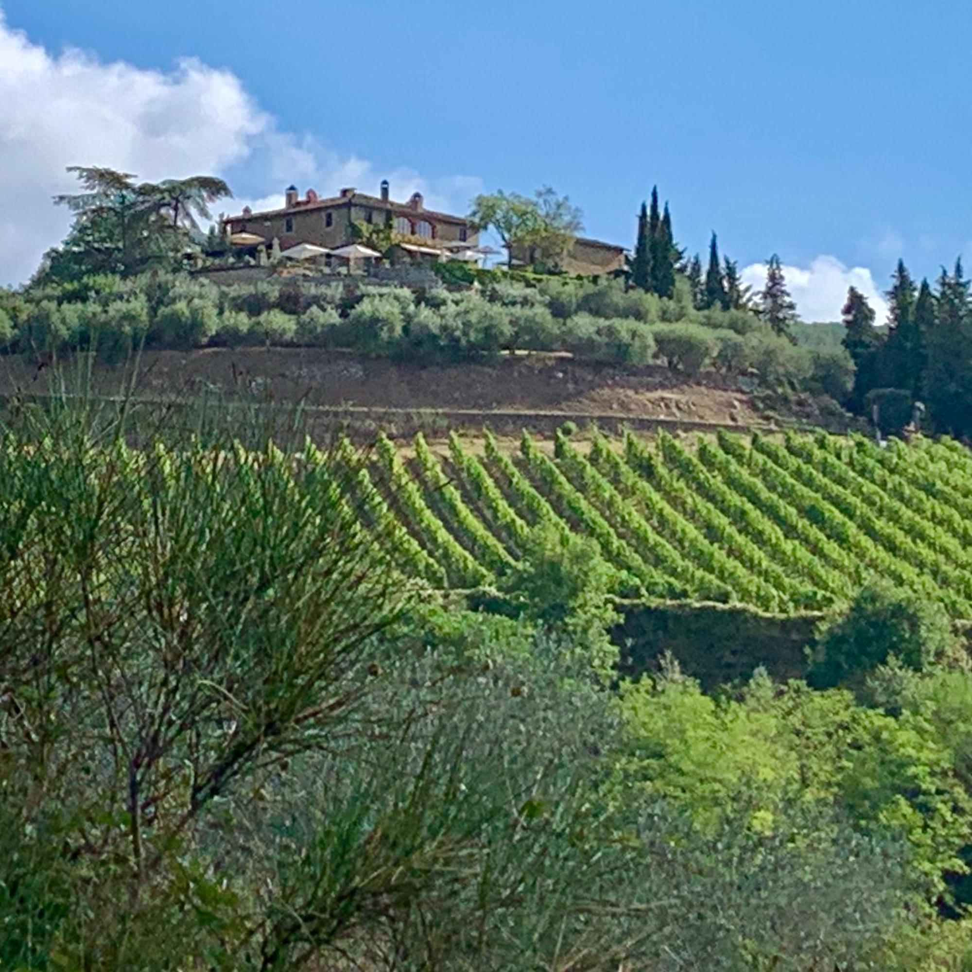 Capannelle Wine Resort Gaiole in Chianti Ngoại thất bức ảnh