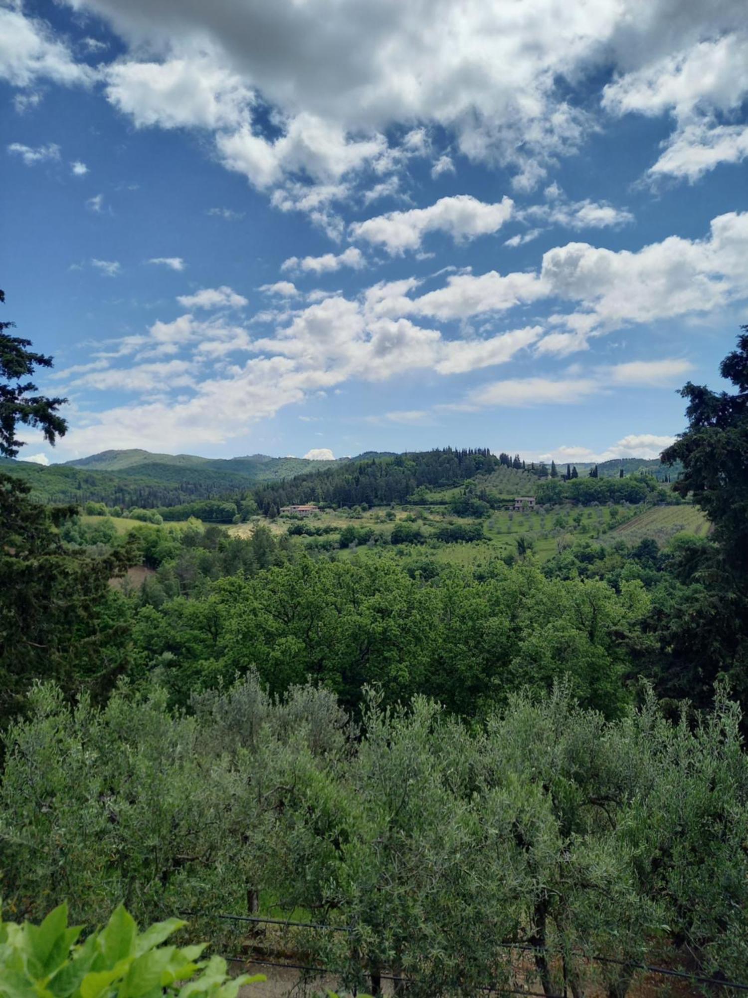 Capannelle Wine Resort Gaiole in Chianti Ngoại thất bức ảnh