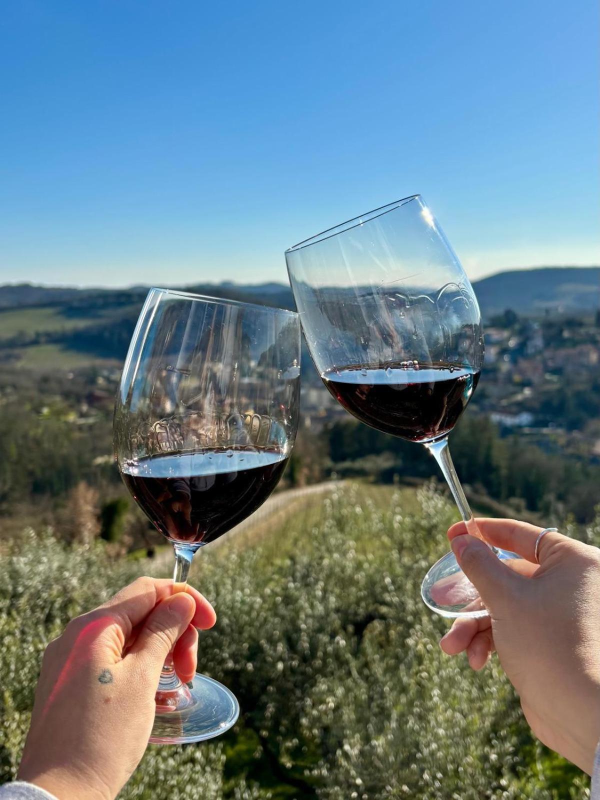 Capannelle Wine Resort Gaiole in Chianti Ngoại thất bức ảnh